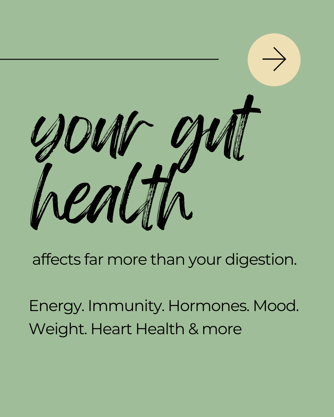 Gut Health Workshop: Fermented foods, nutrition and lunch